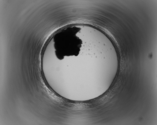 X0000116260988200912211733