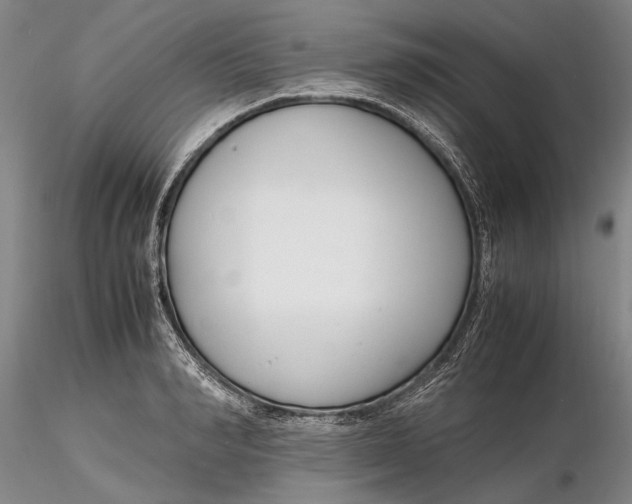 X0000116260990200912211733