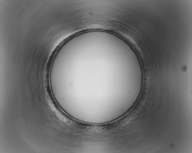 X0000116260991200912211733