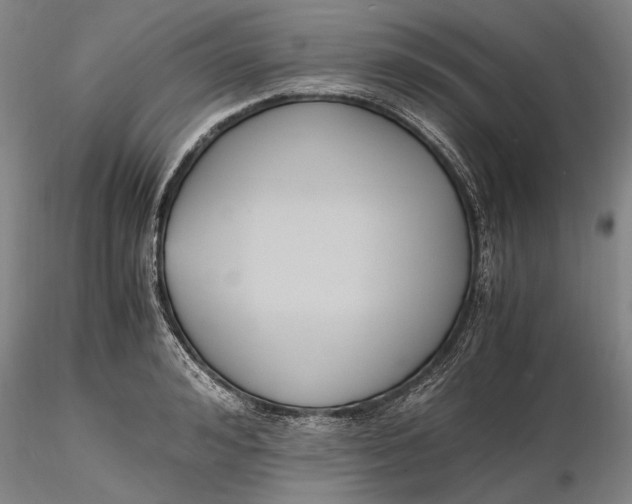 X0000116260992200912211733