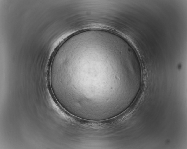 X0000116260995200912211732