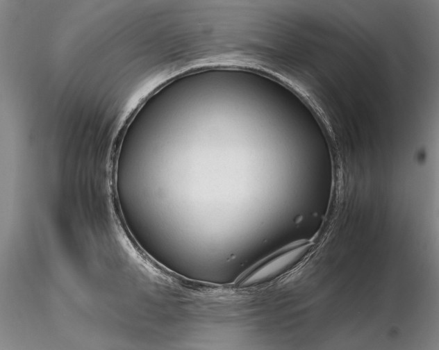 X0000116260998200912211732