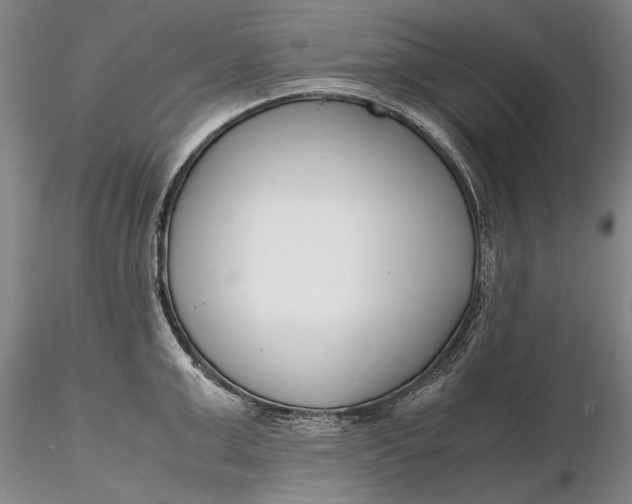 X0000116260999200912211732