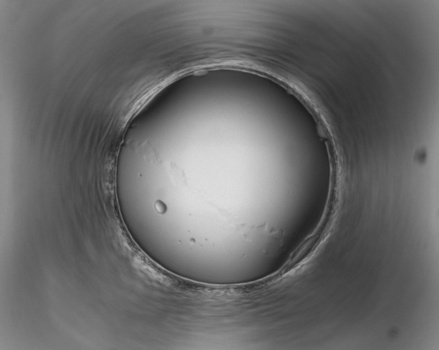 X0000116261001200912211732