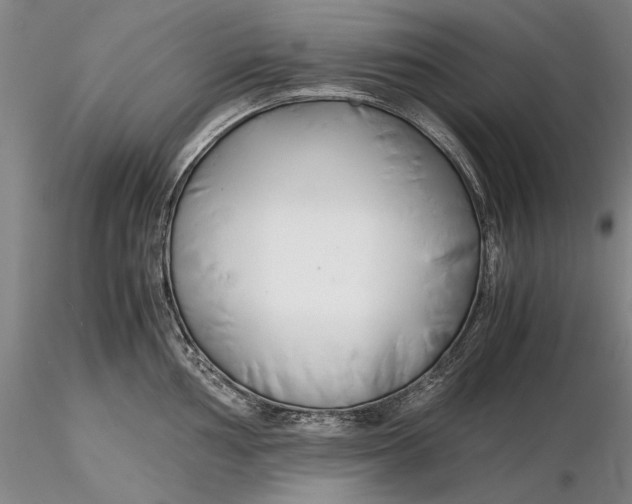 X0000116261002200912211732