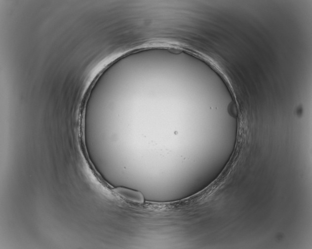 X0000116261003200912211732