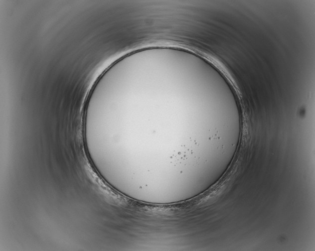 X0000116261004200912211732