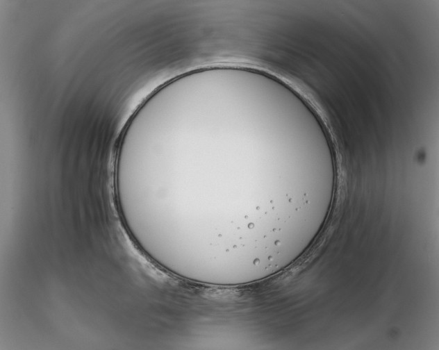 X0000116261006200912211732
