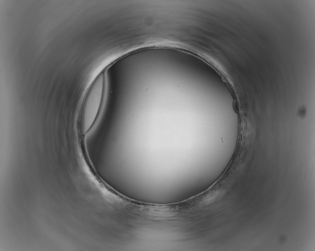 X0000116261007200912211732