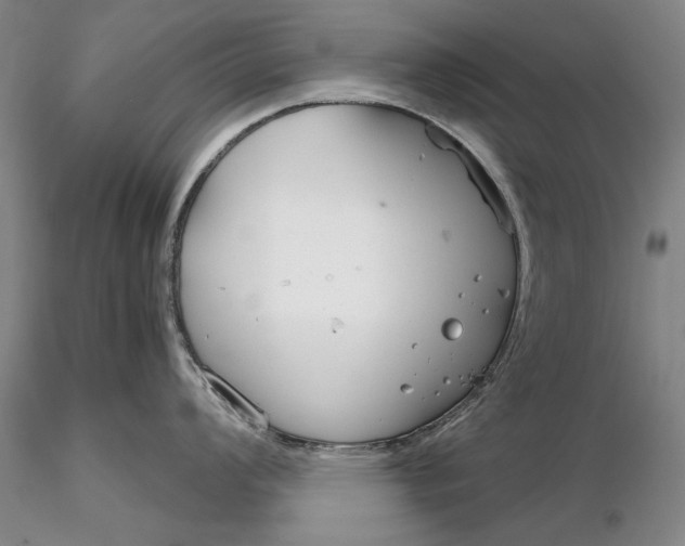 X0000116261008200912211732