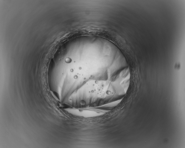 X0000116261009200912211732