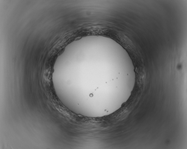 X0000116261010200912211732