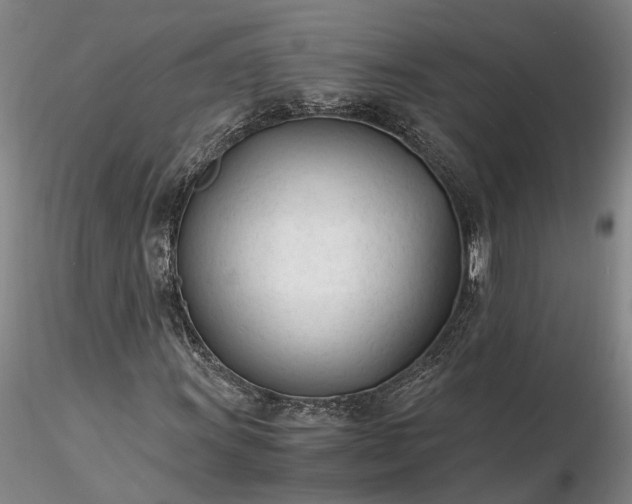 X0000116261011200912211732