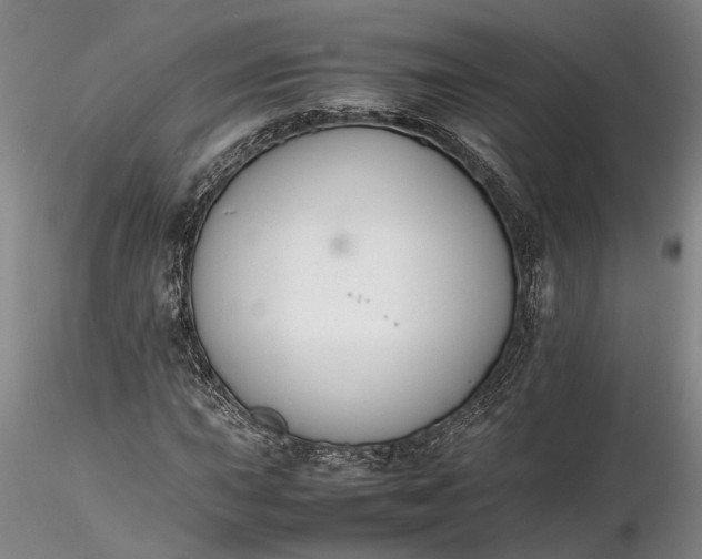 X0000116261015200912211732