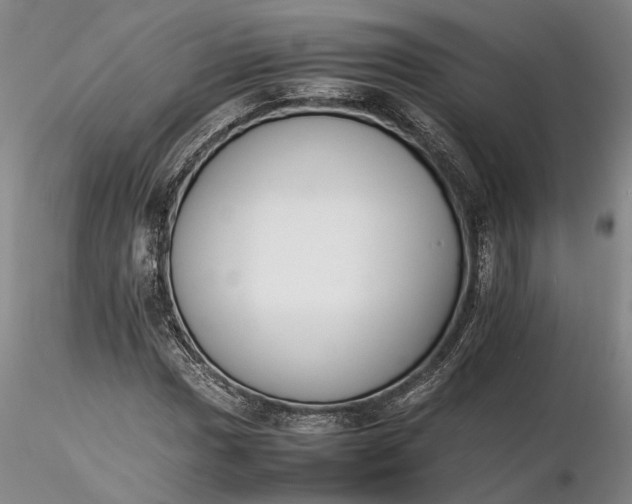 X0000116261017200912211732