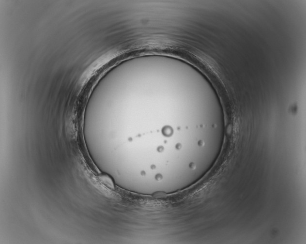 X0000116261018200912211732