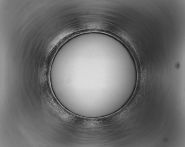 X0000116261019200912211732