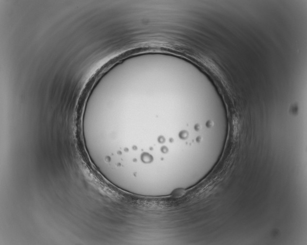 X0000116261020200912211732