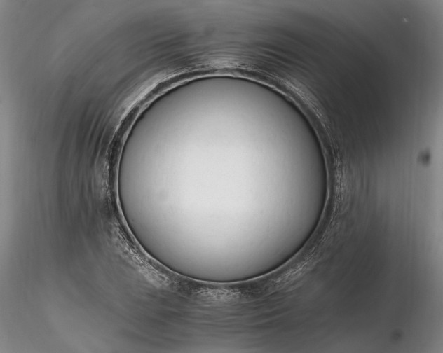 X0000116261023200912211732