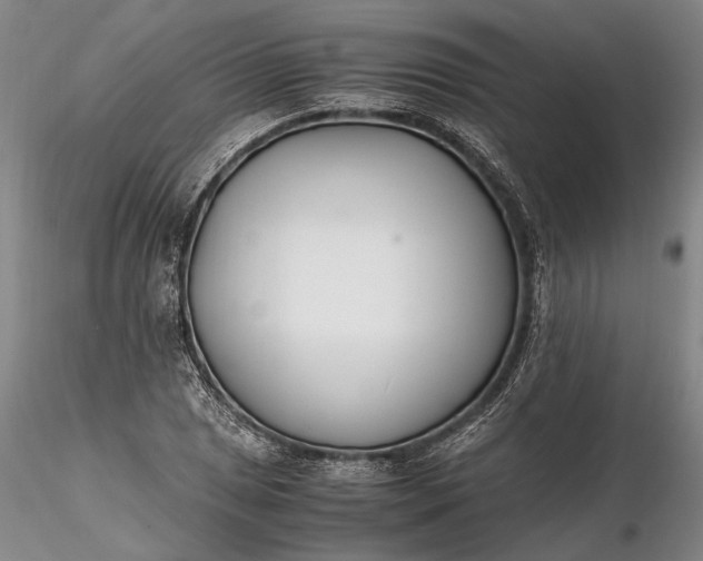 X0000116261025200912211732