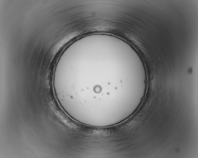 X0000116261026200912211732