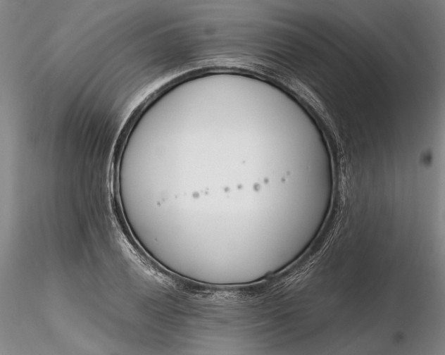 X0000116261028200912211732