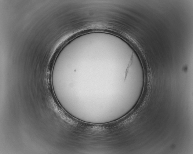 X0000116261029200912211732