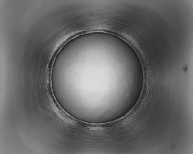 X0000116261031200912211732