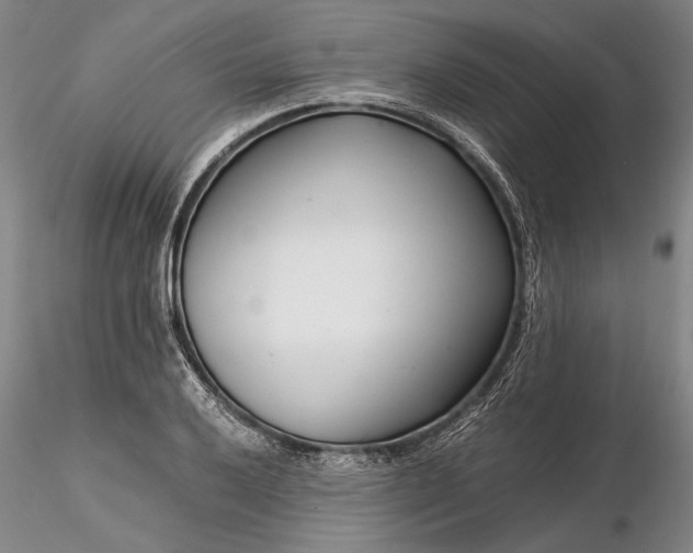 X0000116261032200912211732