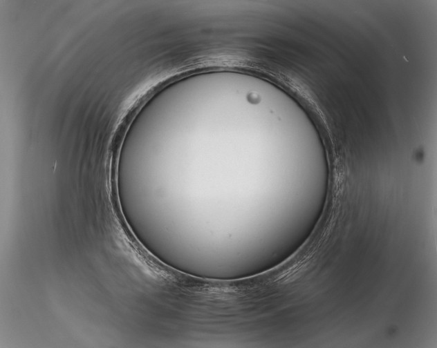 X0000116261035200912211732