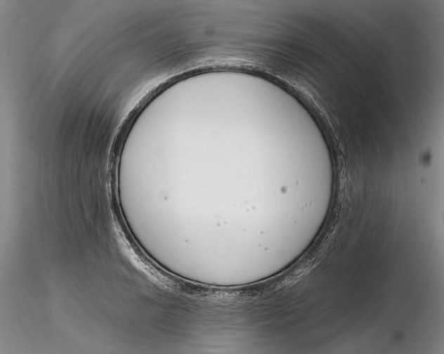 X0000116261038200912211732