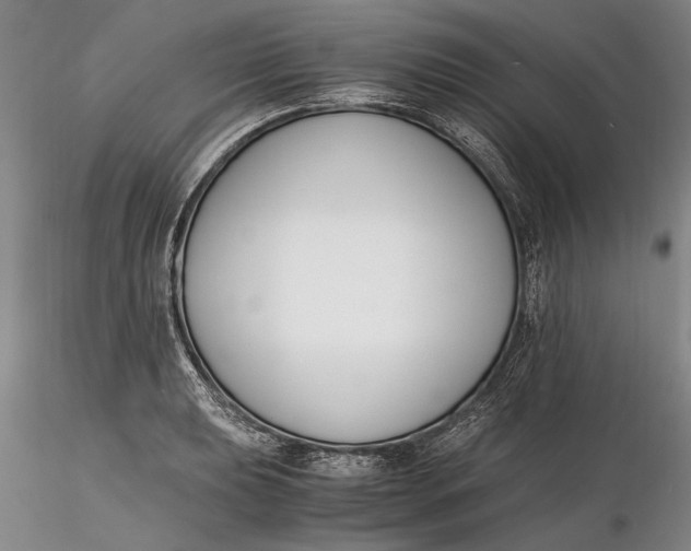 X0000116261039200912211732