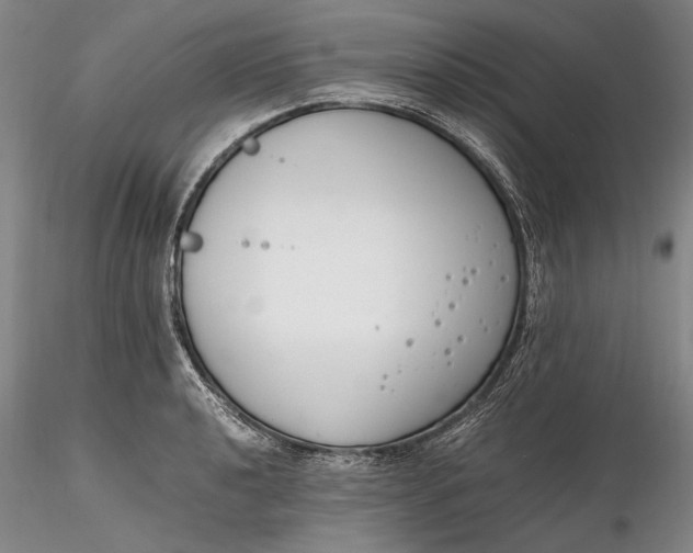 X0000116261040200912211732