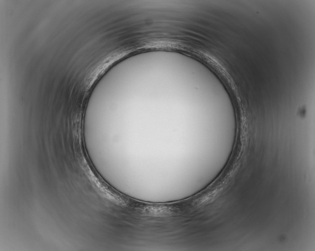 X0000116261041200912211732