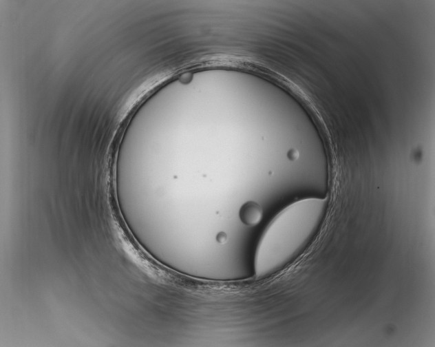 X0000116261042200912211732