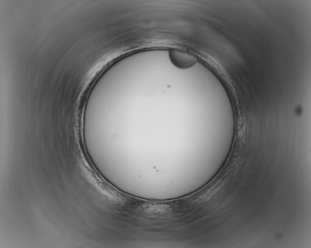 X0000116261043200912211732