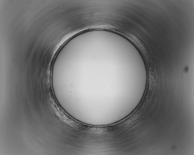 X0000116261044200912211732