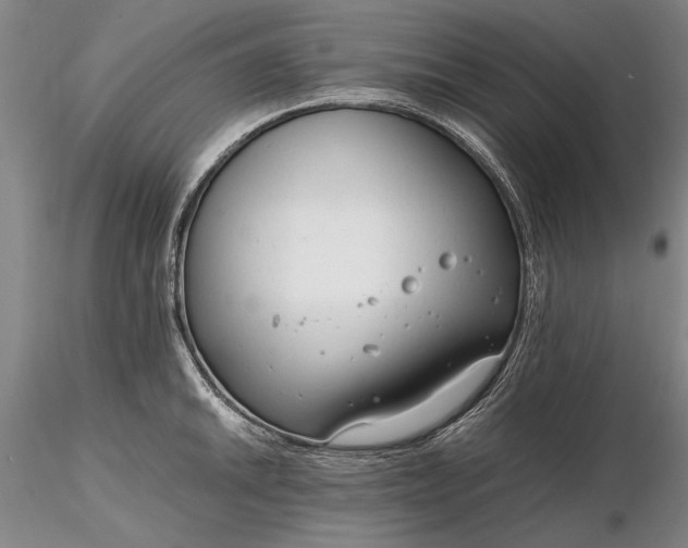 X0000116261046200912211732