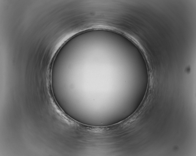 X0000116261048200912211732