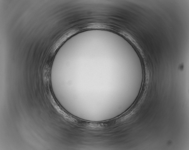 X0000116261049200912211732