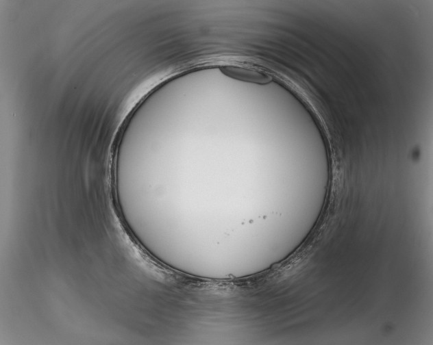 X0000116261050200912211732