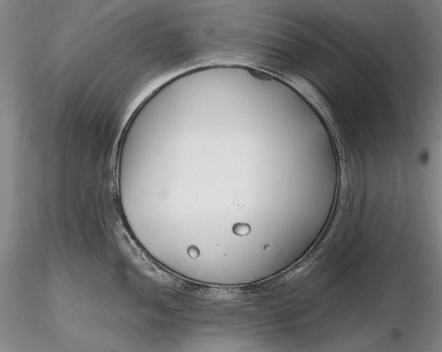 X0000116261052200912211732