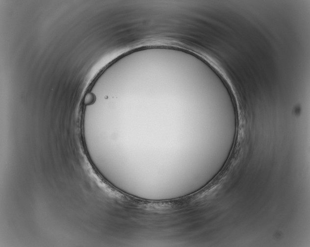 X0000116261053200912211732