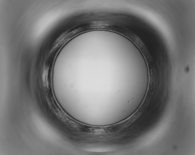 X0000116261054200912211732