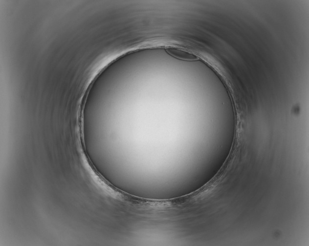 X0000116261055200912211732