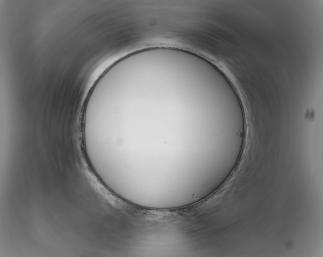 X0000116261056200912211732