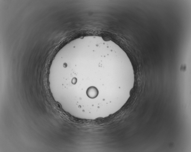 X0000116261057200912211732