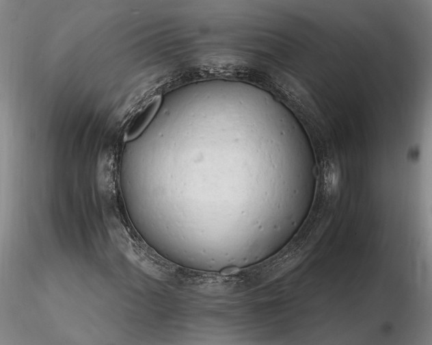 X0000116261060200912211732