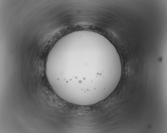 X0000116261062200912211732