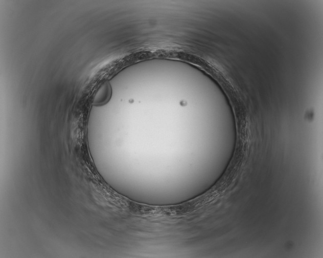 X0000116261063200912211732